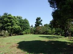 羽根木公園はらっぱ広場