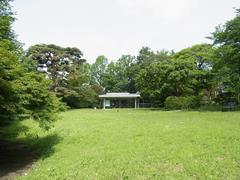 桜丘すみれば自然庭園