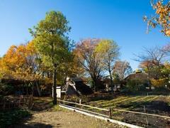 次大夫堀公園民家園