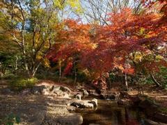 岡本公園民家園