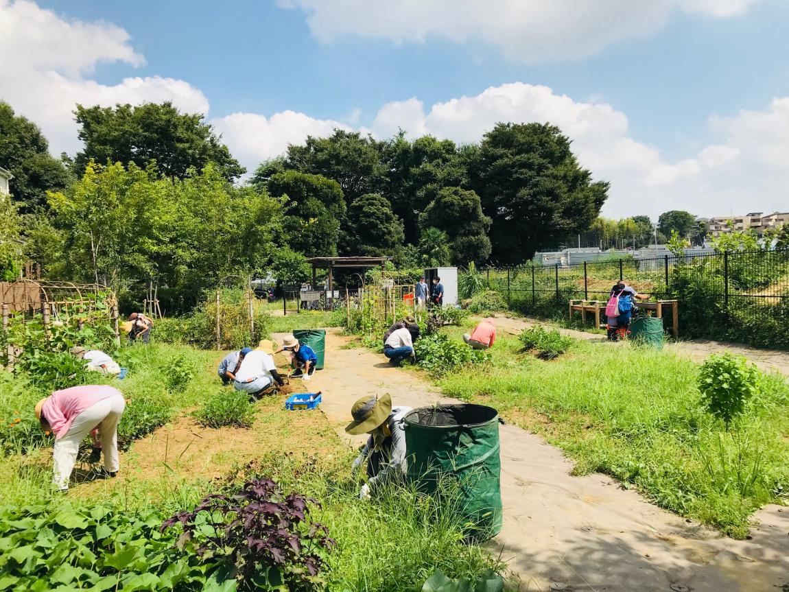 次大夫堀公園内里山農園