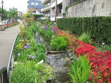 目黒川緑道の写真
