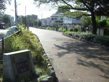 玉川上水緑道の写真