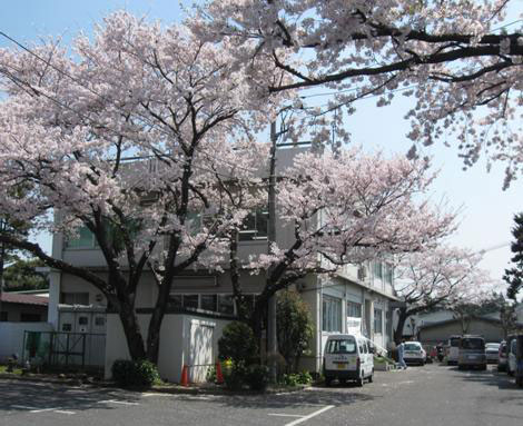 玉川清掃事務所全景